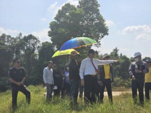 ภาพการตรวจสอบ